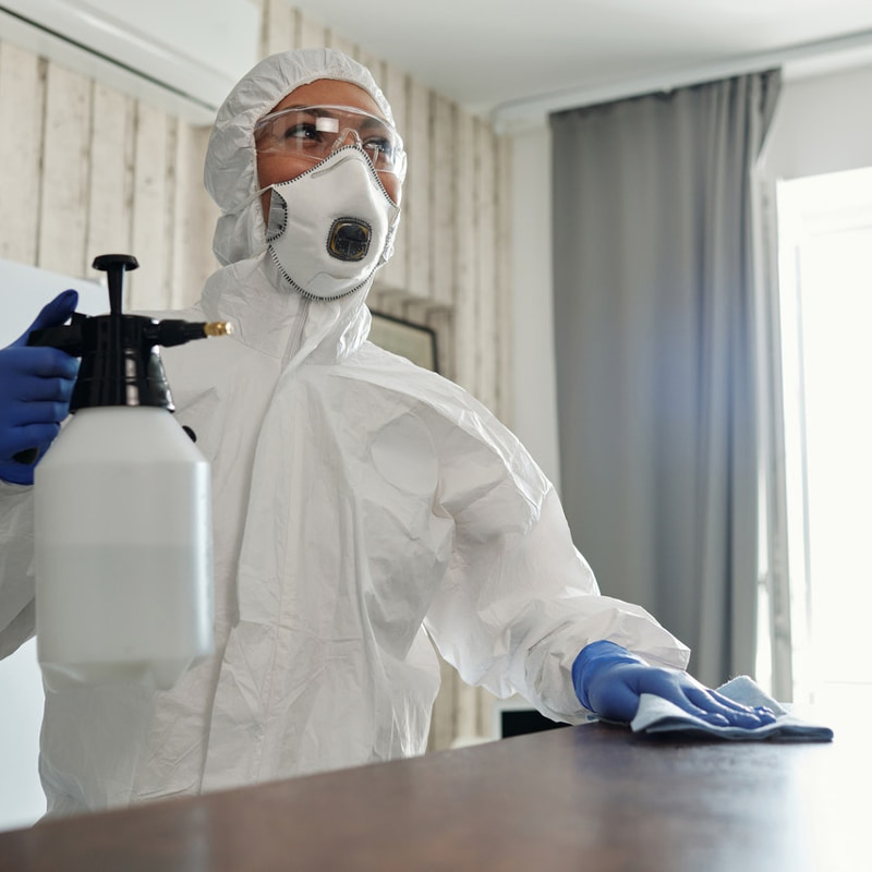 Photo of woman cleaning